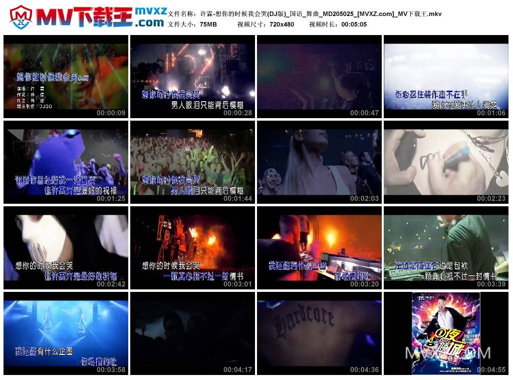 许霖-想你的时候我会哭(DJ版)_国语_舞曲_MD205025